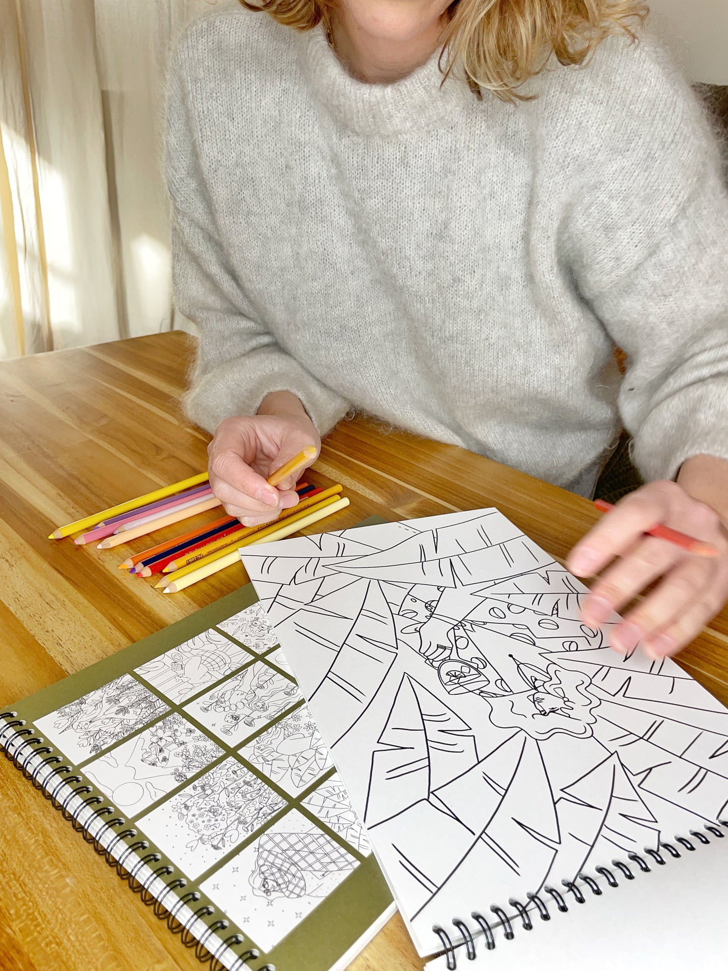 Livre de Coloriage - Tome 2