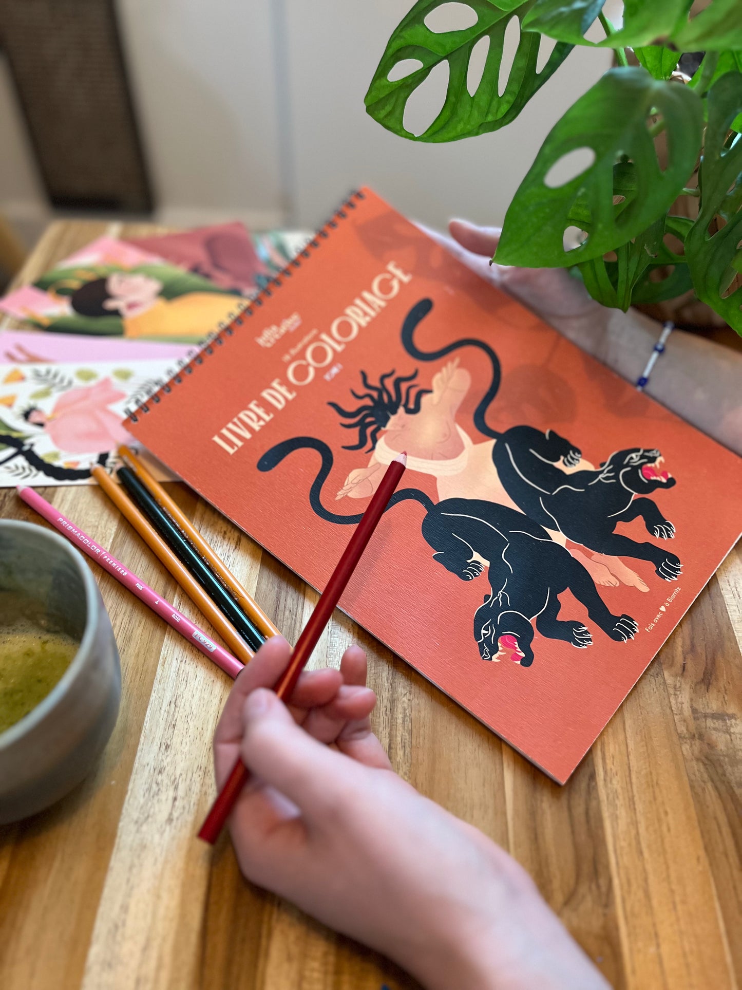 Livre de Coloriage - Tome 1